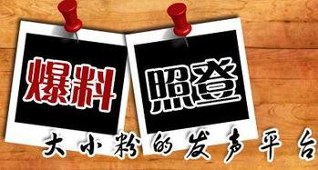 最新重庆爆料事件新闻,揭秘背后真相与影响