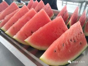 青县吃瓜最新事件爆料视频,揭秘最新爆料视频背后的惊人真相