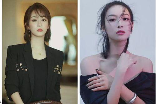 杨紫娱记爆料最新消息,娱乐圈最新动态大揭秘！
